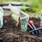 5 Basic Investment rules to follow
